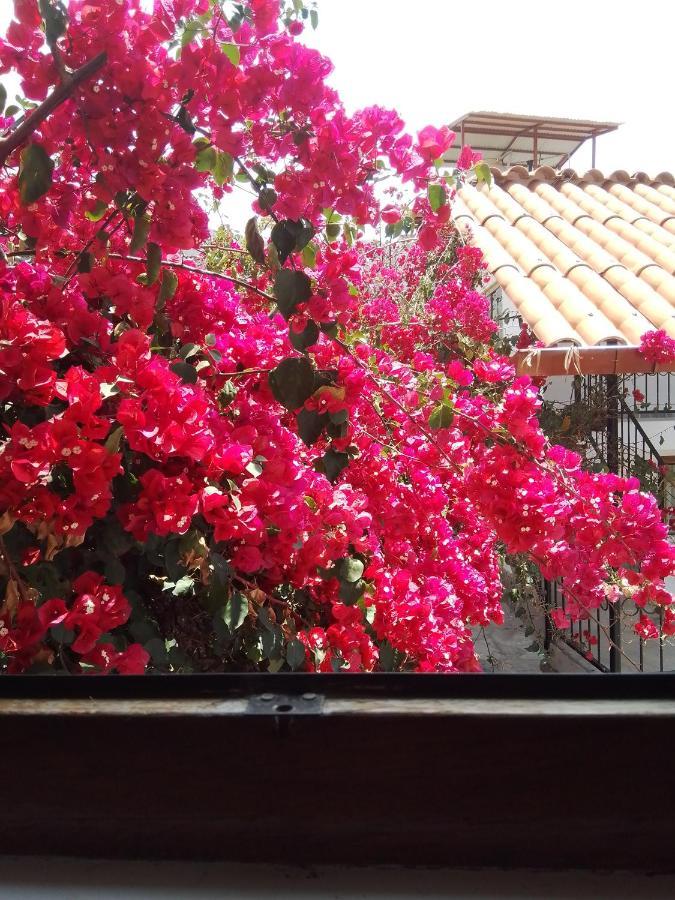 Casa De Mama Valle - Urubamba Luaran gambar