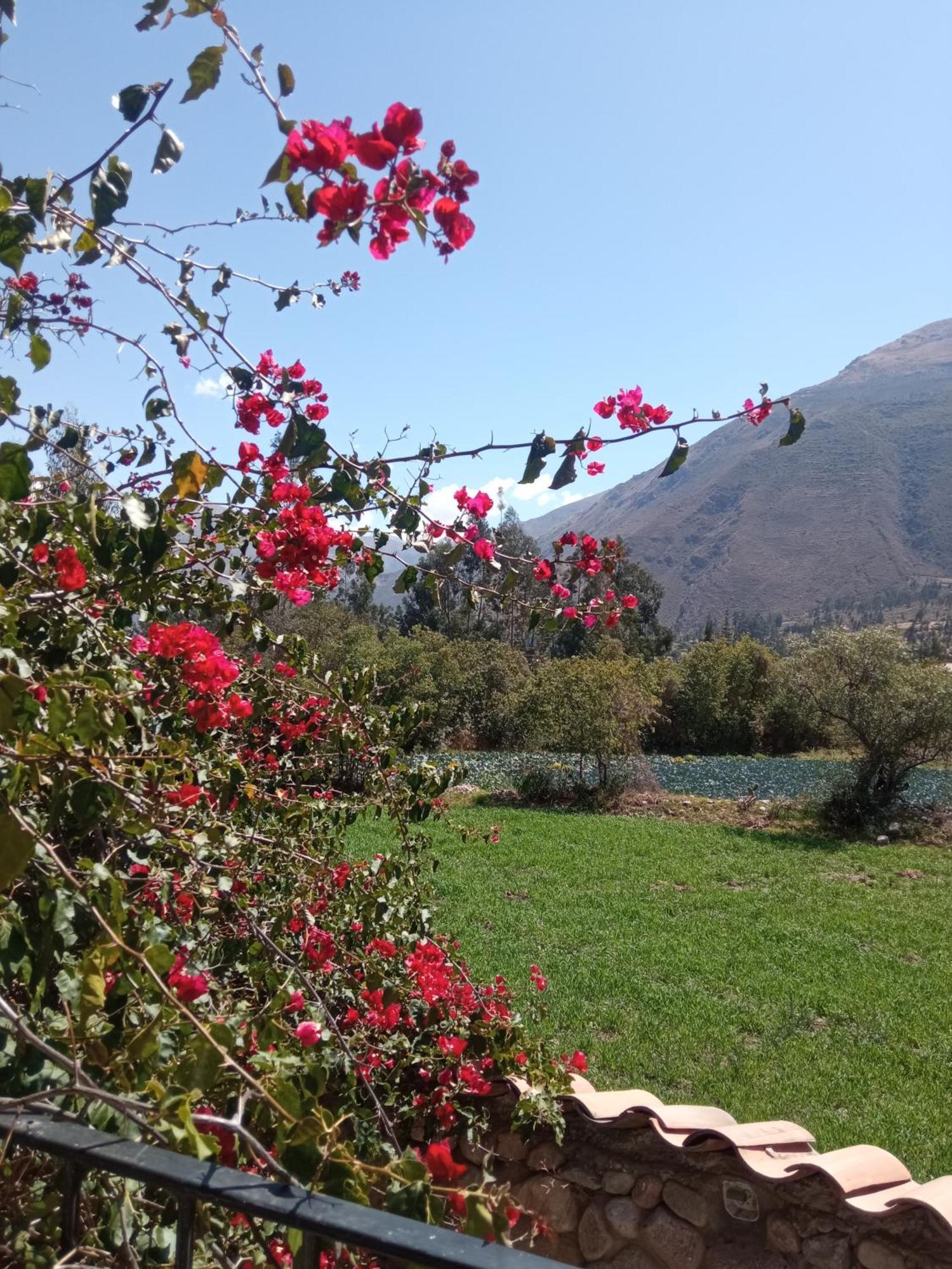 Casa De Mama Valle - Urubamba Luaran gambar